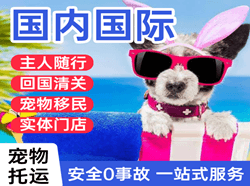 芒市航空空运国际宠物托运 【国